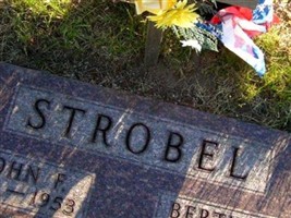 Bertha Elizabeth Nelson Strobel