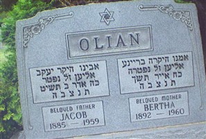 Bertha Isenberg Olian