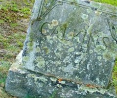 Bertha J. Chandler Calkins