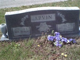 Bertha L. Arvin Bertha L. Arvin