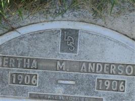 Bertha Marion Anderson