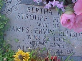 Bertha Stroupe Ellison Bertha Stroupe Ellison