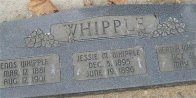 Bertha Violet Whipple Olsen Bertha Violet Whipple Olsen