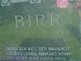 Bertha W Birr