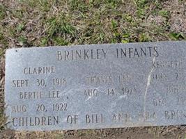 Bertie Lee Brinkley