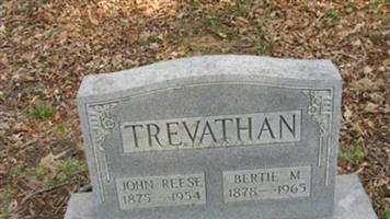 Bertie M. Trevathan