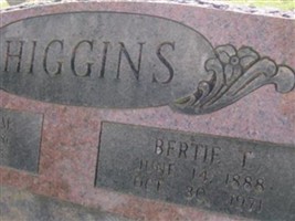 Bertie T Higgins