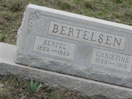 Bertle Bertelson Bertle Bertelson