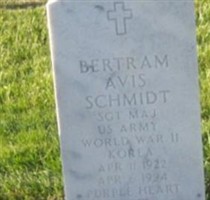 Bertram Avis Schmidt