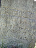 Bertrand M. Andrews