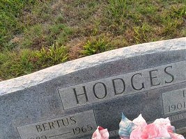 Bertus Hodges Bertus Hodges