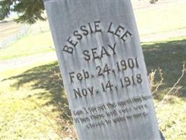 Bessie Lee Seay