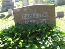 Bessie Mabel Carleton Bessie Mabel Carleton