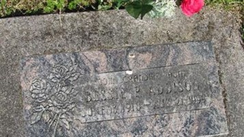 Bessie Pauline Addison Bessie Pauline Addison