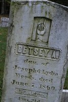 Betsy Ayer Woods