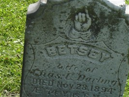 Betsy Irene Arnold Darling Betsy Irene Arnold Darling