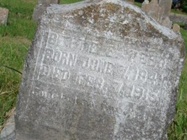 Bette E Reed