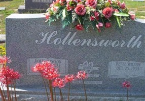 Bette Wilson Hollensworth
