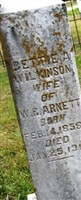 Bettie A. Wilkinson Arnett Bettie A. Wilkinson Arnett