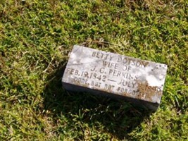 Betty Dotson Perkins
