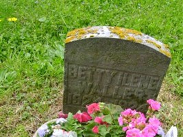 Betty Ilene Waller Betty Ilene Waller