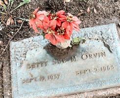 Betty Sue Moore Orvin