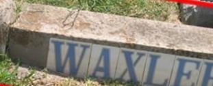 Beulah E Waxler