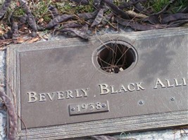 Beverly Black Allison Beverly Black Allison