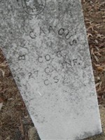 B. F. Ganous