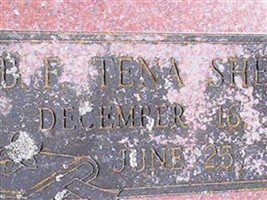 B.F. Tenna Shelly