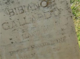 Bibiano Gallardo Bibiano Gallardo