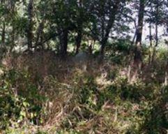 Bickers Family Cemetery