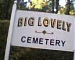 Big Lovely Cemetery
