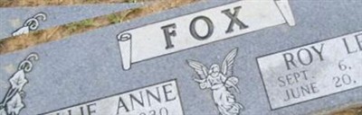 Billie Anne Clary Fox