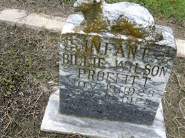 Billie Wilson Proffitt Billie Wilson Proffitt