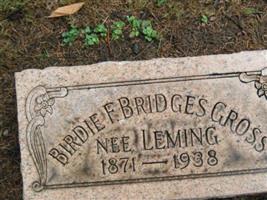 Birdie F. Leming Bridges Gross