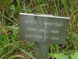 Birdie T. Armstead