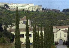 Bishop Ram?n Daumal Serra