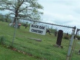 Black Oak Black Oak