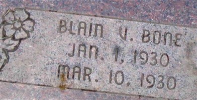 Blain V Bone
