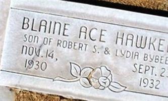 Blaine Ace Hawker