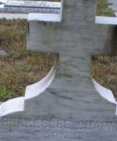 Blakeslee Chapman Barnes Blakeslee Chapman Barnes