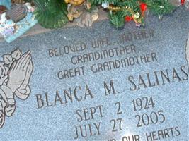 Blanca M Salinas Blanca M Salinas