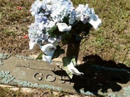Blanche L Wheatley Gosnell