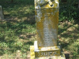 Blasius Burck Blasius Burck