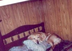 Blondie Girl Choquette