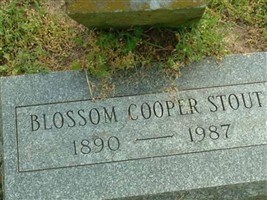 Blossom Cooper Stout