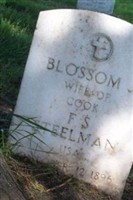 Blossom J Steelman Blossom J Steelman