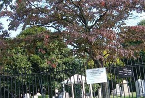Bnai Scholom Cemetery