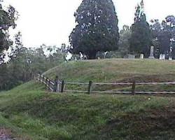 Board Tree Cemetery